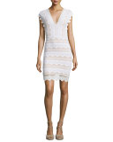 Antoinette Lace Sheath Dress, Dove