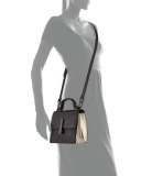 Minato Mini Crocodile-Embossed Top-Handle Bag, Black/Ivory