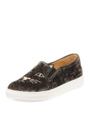 Cool Cats Velvet Slip-On Sneaker, Anthracite