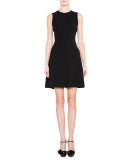 Sleeveless Seamed Fit-and-Flare Dress, Black