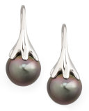 Gray South Sea Pearl Drop Earrings