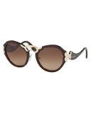 Gradient Acetate Butterfly Sunglasses