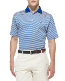 University of Kentucky Striped Gameday College Polo Shirt