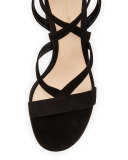 Strappy Suede Ankle-Wrap Sandal, Black