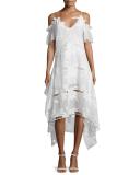 Embroidered Off-the-Shoulder Midi Dress, White