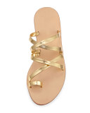 Sarie Leather Toe-Ring Flat Sandal, Gold