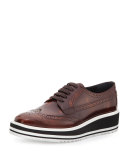 Spazzolato Microsole Lace-Up