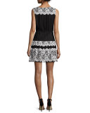 Floral-Lace Fit-&-Flare Dress, Black Multi