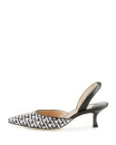 Carolyne Raffia Low-Heel Halter Pump