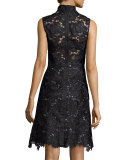 Sleeveless Fit & Flare Lace Dress