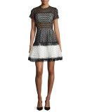 Cinthia Short-Sleeve Eyelet Mesh Mini Dress, Black/White