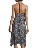 Noreen Floral Lace Midi Dress, Black/Gray