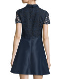 Collared Lace Combo Fit-and-Flare Dress