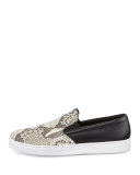Python Leather Slip-On Sneaker, Brown