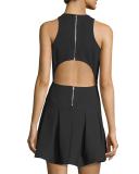 Sabine Sleeveless Crepe Fit-and-Flare Dress, Black