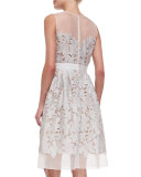 Sleeveless Lace Fit & Flare Cocktail Dress