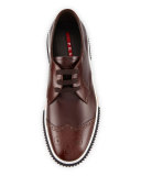Wing-Tip Dress Sneaker, Brown