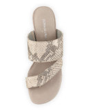 Ruge Asymmetric Snake-Embossed Thong Sandal, Stone