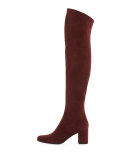 Babies Suede Over-The-Knee Boot, Amaranto