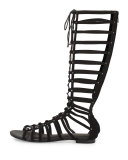 Falicia Tall Gladiator Sandal, Black
