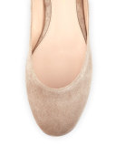 Carla Suede Lace-Up Flat