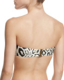 Leopard-Print Accessory Bandeau Top