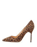 BB Leopard-Print Suede 105mm Pump, Leopard