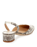 Aspro Snakeskin Slingback Pump, Roccia Black/White