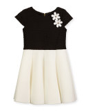 Cap-Sleeve Pleated Jacquard & Ponte Dress, Black/White, Size 7-16