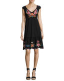 Anaya Tiered Dress with Embroidery