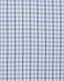 Check Woven Dress Shirt