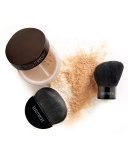 Face Brush