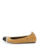 Graphic Cap-Toe Ballerina Flat