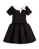 Short-Sleeve Pleated Fit-and-Flare Scuba Dress, Black, Size 4-6