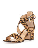 Leopard-Print Calf Hair Low-Heel Sandal