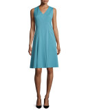 Emery Sleeveless V-Neck Dress