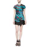 Short-Sleeve Panel-Skirt Dress