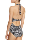 Kayak Animal-Print One-Piece Swimsuit with Mesh Inserts