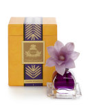 Lavender Rosemary PetitEssence Diffuser, 1.7 oz. 