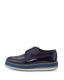 Leather Platform Brogue Creeper, Blue