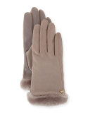 Carry Forward Classic Leather Smart Gloves, Gray