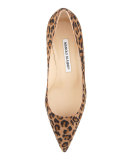 BB Leopard-Print Suede 50mm Pump, Leopard