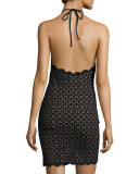 Mott Scalloped Lace Halter Minidress, Black