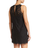 Fahfia Lace Sheath Mini Dress, Caviar