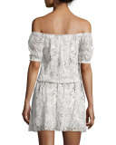 Janell Off-the-Shoulder Silk Lace Dress, White/Black