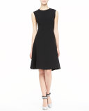 Sophia Seamed Drop Waist Dress, Black