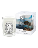 Figuier Mini Candle, 70g
