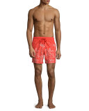 Moorea Bubbles Turtles Printed Swim Trunks, Red