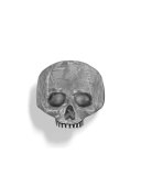 Skull Ring with Carved Meteorite