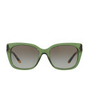 Gradient Acetate Cat-Eye Sunglasses
